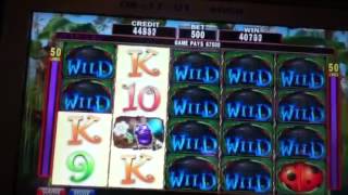 Lil Lady penny slot hit Delta Downs