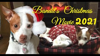 Bandit's 2021 Christmas Video