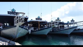 2018-07 Wakatobi Diving