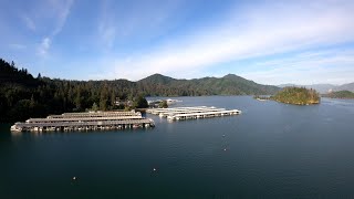 Lake Shasta, CA - Full Again