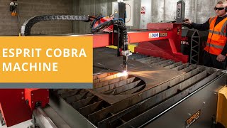 Cobra affordable CNC Plasma Cutting Table - Esprit Automation