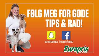 Max Dog hundemat til Europriser!