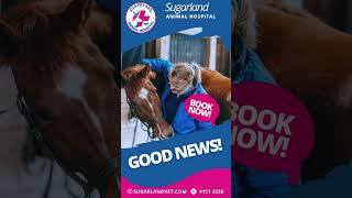 Great news: The horse vaccine is now accessible at Sugarland Animal Hospital.