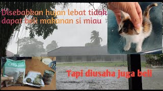 Beli makanan untuk miau kelaparan