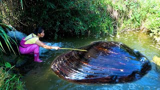 The sound kept coming from the water, it turned out to be a big river clam