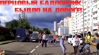 Быдло на дороге. Хорошо, что взял перцовый баллончик