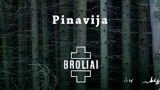 Aistė Smilgevičiūtė ir grupė SKYLĖ - Pinavija