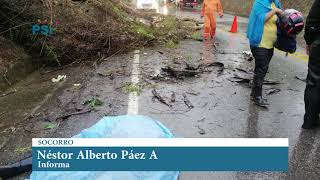 Comportamiento de la Accidentalidad en Mes de febrero