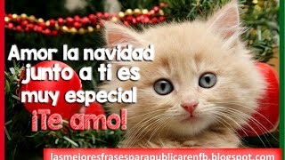 Feliz Navidad Amor | Frases De Navidad | Tarjetas De Navidad | Imágenes De Navidad