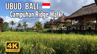 Campuhan Ridge Walk Ubud, Bali - Walking Tour 4K | جولة سياحية في ممشى كامبوهان, اوبود