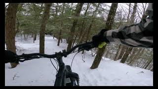 Daniels Rd Fatbike