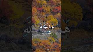 #islamicvideo #foryou #motivation #islamic #viralvideo #pakistan