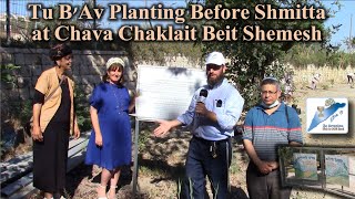 Tu B'Av Planting Before Shmitta @ Chava Chaklait Beit Shemesh