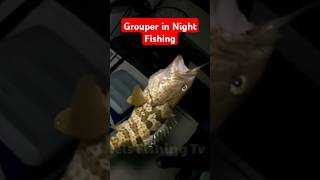 Night Fishing #shorts #shortvideo #shortsviral #fishing #fish