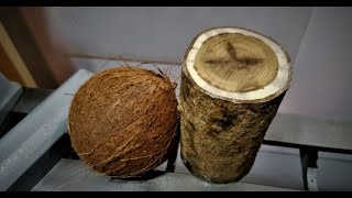 is it possible to use coconut shell in woodturning?