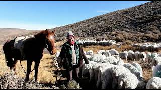 Comunidades mapuche dicen no a la minería