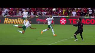 Gol do luighi, Flamengo 1x1 Palmeiras, Campeonato Brasileiro 2024.#palmeiras #flamengo #brasileirao