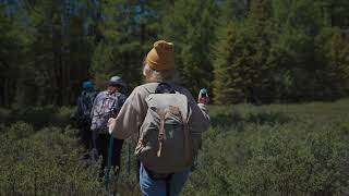 Rethink, Restore, Reconnect this European Day of Parks