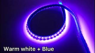 2835-10-128 double color led strip light