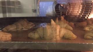 Seaweed Croissant baking time lapse