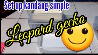 SET UP KANDANG SIMPLE  LEOPARD GECKO KITA.