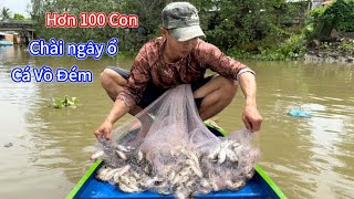 Chài Điểm Mới Ngây Ổ CÁ VỒ ĐÉM Khủng Hoảng Trắng Chài. Fishing Spot New Naive Fish Nest Crisis