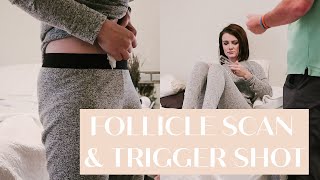 Follicle Scan Results & Trigger Shot | IUI Infertility Journey