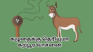 கழுதைக்கு தெரியுமா கற்பூர வாசனை | Real Meaning | #proverbs #பழமொழிகள் #தமிழ் #தமிழ்மருத்துவம்