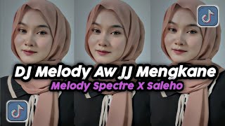 DJ MELODY AW JJ MENGKANE | DJ MELODY SPECTRE X SALEHO DJ FYP TIKTOK MENGKANE