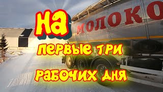 Первые рабочие дни нового года. Молочная вахта.