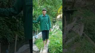 #shortvideo bpk lukman #jawabarat #garut #kampunghalaman #petualangan