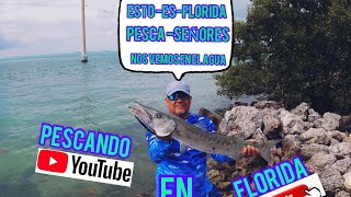 ⭐️Pescando barracudas en un puente de isla morada  Florida 🌟