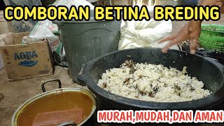 MODAL 2 RIBU RUPIAH UNTUK KOMBORAN KAMBING 25 EKOR‼️