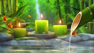 Bamboo Water Fountain Healing 24/7 - Bamboo, Relaxing Music, Meditation Music, Nature Sounds