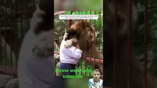 BD reaction  #animals-lover #shortvideo #youtubeshorts #shortstending