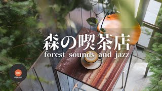 Ambient sounds + JAZZ Gentle forest coffee shop Relaxing work/study CAFE MUSIC - BGM for work