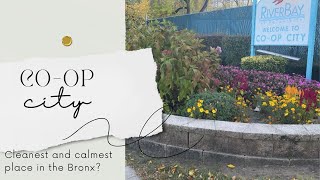 Co-op City, The Bronx [Part 2] Is this the cleanest and calmest place in the Bronx?