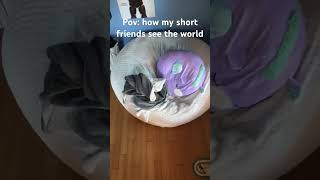 Pov how my short friends see the world 😂 (send this to a friend) #shorts