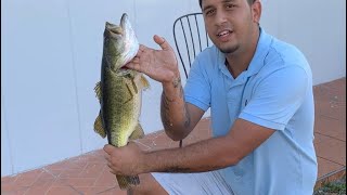 Catching *HUGE BASS* for dream pond *UNDERWATER SHOTS*