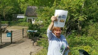 Zooführung Rostock "Haustiere" 21.05.2023