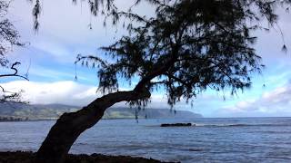 Sounds of Hawaii for sleep and relaxation