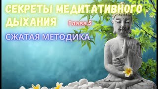 СЕКРЕТЫ Медитативного Дыхания. Глава 5. Сжатая Методика. Ларри Розенберг