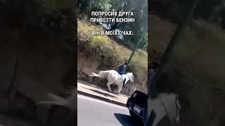 Були у вас такі ситуації? 🤩😁 #existua #funny #funnyvideos #shorts #automobile