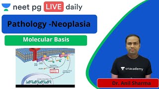 NEET PG: Pathology | Neoplasia - L2 | Molecular Basis | Unacademy NEET PG |  Dr. Anil Sharma