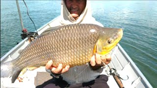 PESCARIA DE PIAUÇU!!!PEIXE GIGANTE!! PORTO RICO RIO PARANÁ.