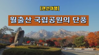 [랜선여행] 월출산 국립공원의 단풍 🍁🍂