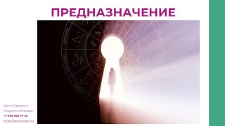 Предназначение человека. Причины алкоголизма, наркомании, созависимости.