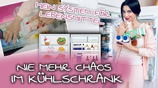 WOW! Ordnung in Kühlschrank | Ich räume unseren Kühlschrank auf. Lebensmittel richtig einsortieren