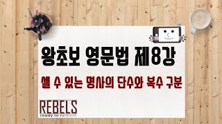 제8강 셀 수 있는 명사의 단수와 복수 구분 (왕초보 영문법)