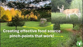 HS360LLC 2024 Food plot pinch set ups for stratigic hunts.